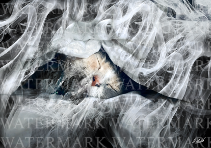 Original 1 Off Digital Art on Chromaluxe Metal HD Quality – Sleeping Willow